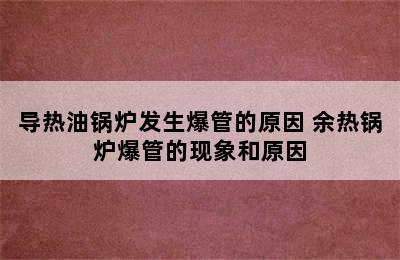 导热油锅炉发生爆管的原因 余热锅炉爆管的现象和原因